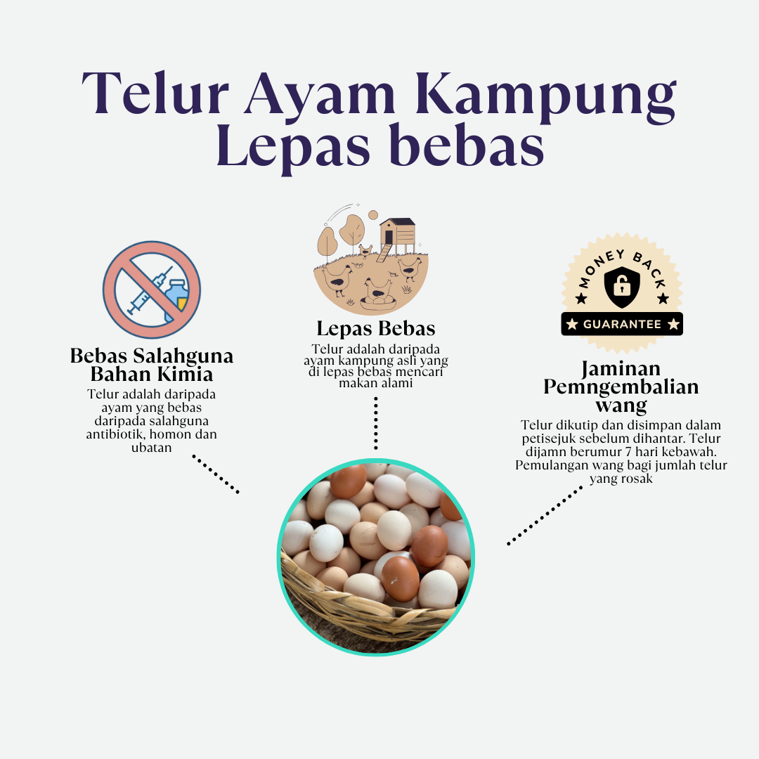 Telur Ayam Kampung