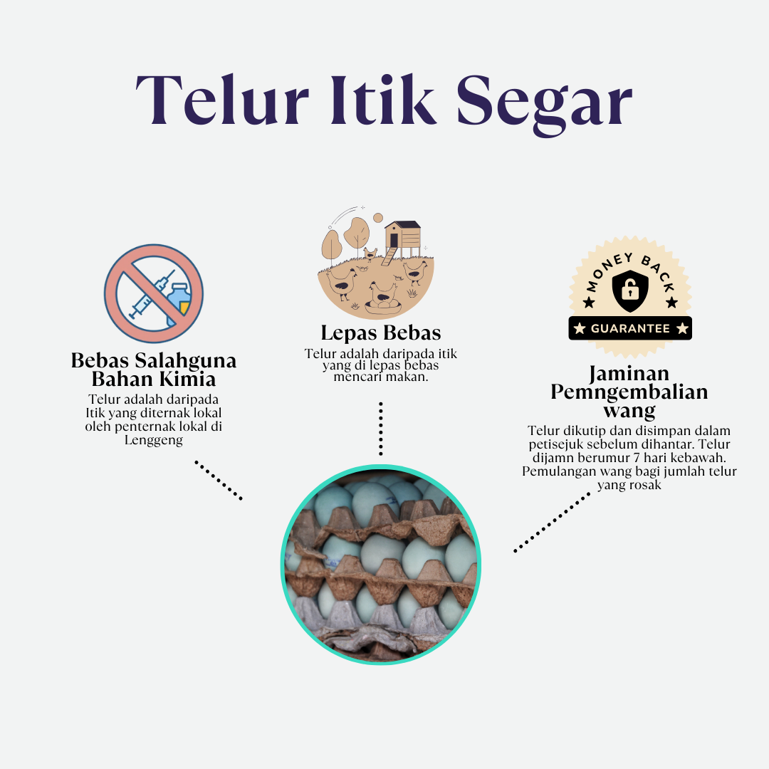 Telur Itik Segar